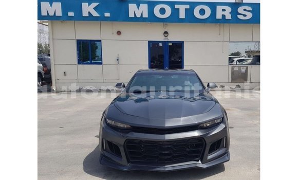 Acheter Import Voiture Chevrolet Camaro Autre à Import - Dubai, Adrar