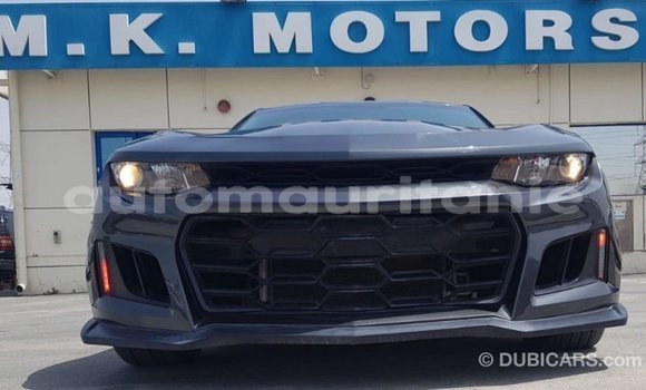 Acheter Import Voiture Chevrolet Camaro Autre à Import - Dubai, Adrar Acheter Import Voiture Chevrolet Camaro Autre à Import - Dubai, Adrar