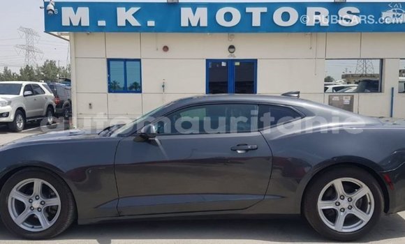 Acheter Import Voiture Chevrolet Camaro Autre à Import - Dubai, Adrar Acheter Import Voiture Chevrolet Camaro Autre à Import - Dubai, Adrar