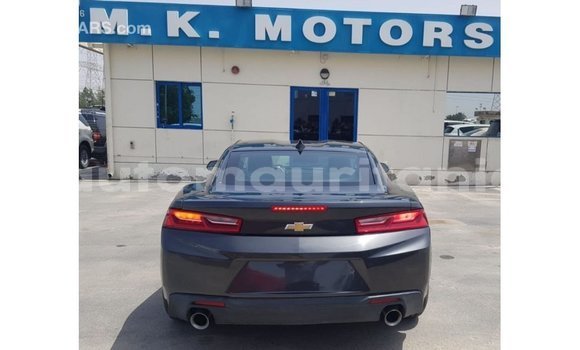 Acheter Import Voiture Chevrolet Camaro Autre à Import - Dubai, Adrar Acheter Import Voiture Chevrolet Camaro Autre à Import - Dubai, Adrar