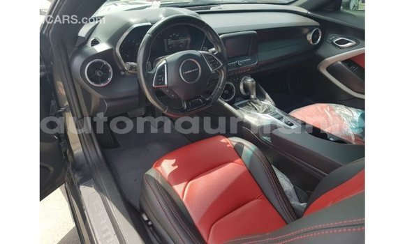 Acheter Import Voiture Chevrolet Camaro Autre à Import - Dubai, Adrar Acheter Import Voiture Chevrolet Camaro Autre à Import - Dubai, Adrar
