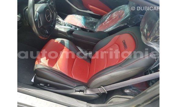 Acheter Import Voiture Chevrolet Camaro Autre à Import - Dubai, Adrar Acheter Import Voiture Chevrolet Camaro Autre à Import - Dubai, Adrar