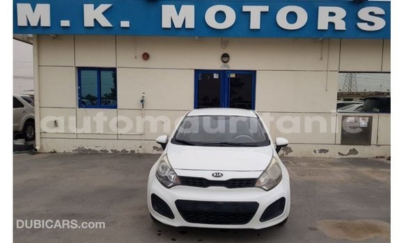 Acheter Import Voiture Kia Rio Blanc à Import - Dubai, Adrar Acheter Import Voiture Kia Rio Blanc à Import - Dubai, Adrar