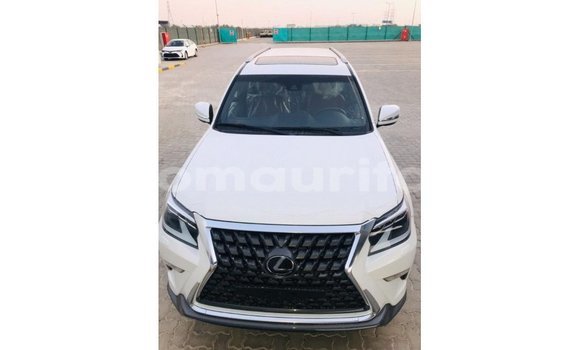 Buy Import Lexus GX White Car in Import - Dubai in Adrar Buy Import Lexus GX White Car in Import - Dubai in Adrar