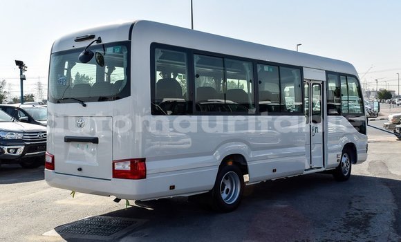 Acheter Import Voiture Toyota Coaster Blanc à Import - Dubai, Adrar Acheter Import Voiture Toyota Coaster Blanc à Import - Dubai, Adrar