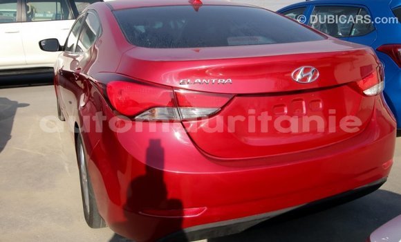 Acheter Import Voiture Hyundai Elantra Rouge à Import - Dubai, Adrar Acheter Import Voiture Hyundai Elantra Rouge à Import - Dubai, Adrar
