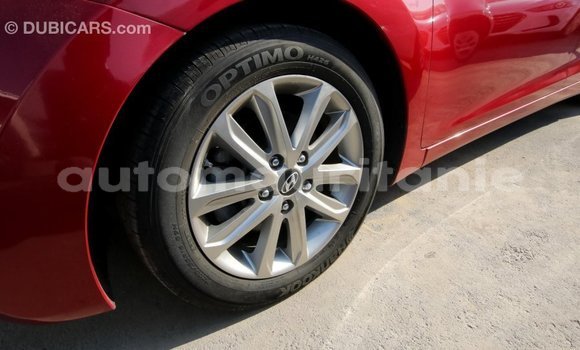 Acheter Import Voiture Hyundai Elantra Rouge à Import - Dubai, Adrar
