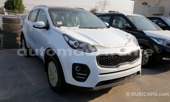 Acheter Import Voiture Kia Sportage Blanc à Import - Dubai, Adrar Acheter Import Voiture Kia Sportage Blanc à Import - Dubai, Adrar