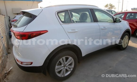 Acheter Import Voiture Kia Sportage Blanc à Import - Dubai, Adrar Acheter Import Voiture Kia Sportage Blanc à Import - Dubai, Adrar