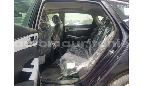 Acheter Import Voiture Kia Cadenza Bleu à Import - Dubai, Adrar Acheter Import Voiture Kia Cadenza Bleu à Import - Dubai, Adrar