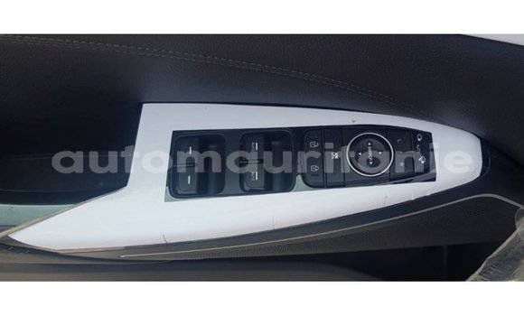 Acheter Import Voiture Kia Cadenza Bleu à Import - Dubai, Adrar Acheter Import Voiture Kia Cadenza Bleu à Import - Dubai, Adrar