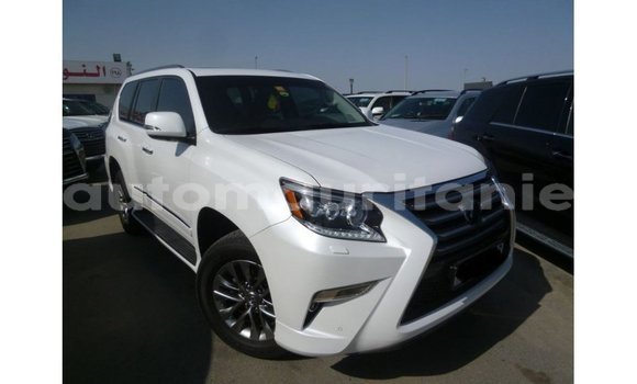 Acheter Import Voiture Lexus GX Blanc à Import - Dubai, Adrar Acheter Import Voiture Lexus GX Blanc à Import - Dubai, Adrar