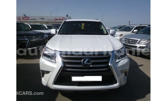 Acheter Import Voiture Lexus GX Blanc à Import - Dubai, Adrar Acheter Import Voiture Lexus GX Blanc à Import - Dubai, Adrar