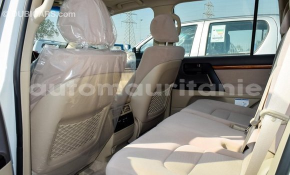 Acheter Import Voiture Toyota Land Cruiser Blanc à Import - Dubai, Adrar Acheter Import Voiture Toyota Land Cruiser Blanc à Import - Dubai, Adrar