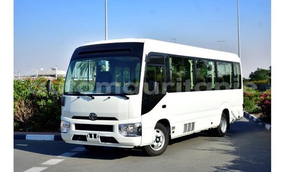Buy Import Toyota Coaster White Car in Import - Dubai in Adrar Buy Import Toyota Coaster White Car in Import - Dubai in Adrar