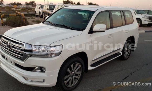 Acheter Import Voiture Toyota Land Cruiser Blanc à Import - Dubai, Adrar Acheter Import Voiture Toyota Land Cruiser Blanc à Import - Dubai, Adrar