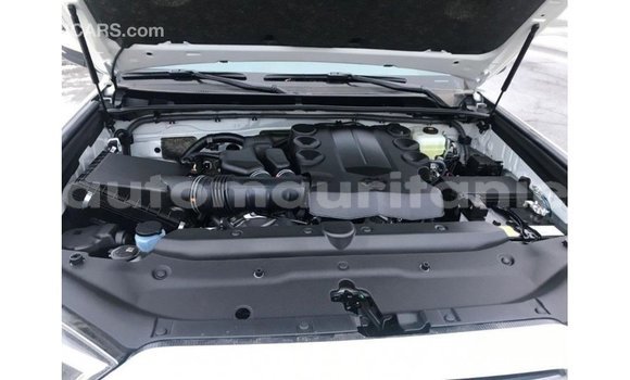 Acheter Import Utilitaire Toyota HiAce Blanc à Import - Dubai, Adrar Acheter Import Utilitaire Toyota HiAce Blanc à Import - Dubai, Adrar