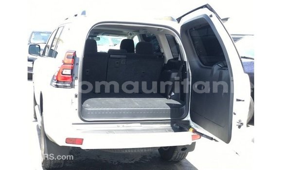 Acheter Import Voiture Toyota Prado Blanc à Import - Dubai, Adrar Acheter Import Voiture Toyota Prado Blanc à Import - Dubai, Adrar