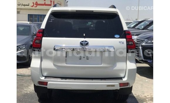 Acheter Import Voiture Toyota Prado Blanc à Import - Dubai, Adrar Acheter Import Voiture Toyota Prado Blanc à Import - Dubai, Adrar