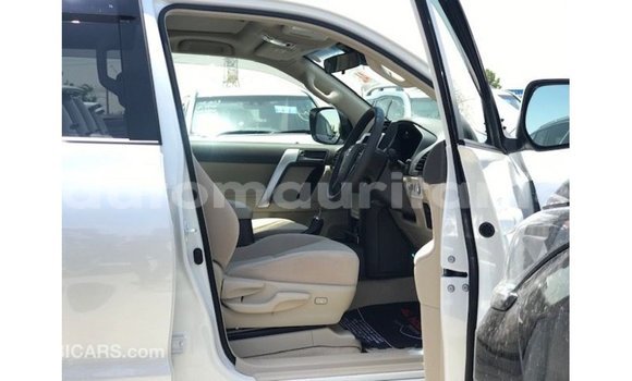 Acheter Import Voiture Toyota Prado Blanc à Import - Dubai, Adrar Acheter Import Voiture Toyota Prado Blanc à Import - Dubai, Adrar