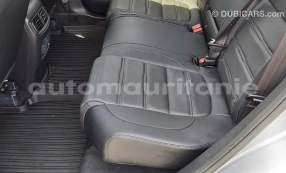 Buy Import Honda C Other Bike in Import - Dubai in Adrar Buy Import Honda C Other Bike in Import - Dubai in Adrar