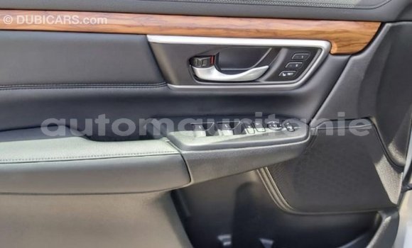 Buy Import Honda C Other Bike in Import - Dubai in Adrar Buy Import Honda C Other Bike in Import - Dubai in Adrar