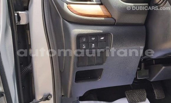 Buy Import Honda C Other Bike in Import - Dubai in Adrar Buy Import Honda C Other Bike in Import - Dubai in Adrar