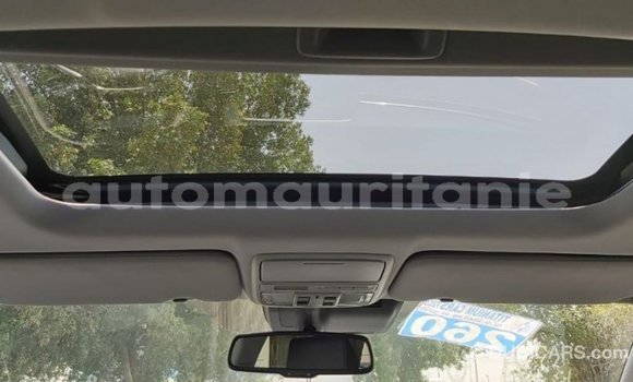 Buy Import Honda C Other Bike in Import - Dubai in Adrar Buy Import Honda C Other Bike in Import - Dubai in Adrar