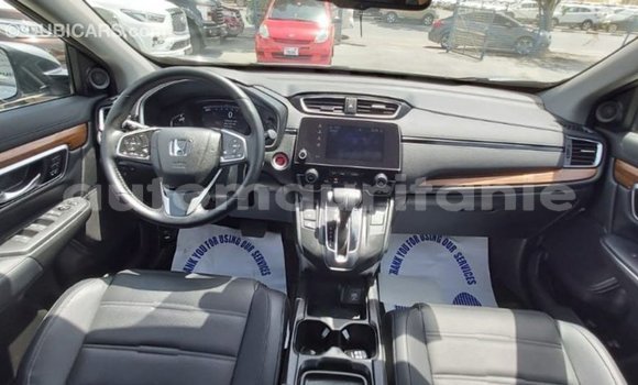 Buy Import Honda C Other Bike in Import - Dubai in Adrar Buy Import Honda C Other Bike in Import - Dubai in Adrar