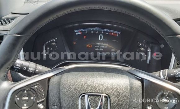 Buy Import Honda C Other Bike in Import - Dubai in Adrar Buy Import Honda C Other Bike in Import - Dubai in Adrar