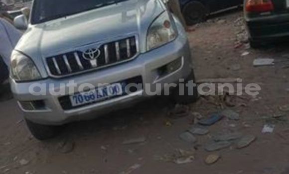 Buy Used Toyota Land Cruiser Prado Silver Car in Nouakchott in West Nouakchott Buy Used Toyota Land Cruiser Prado Silver Car in Nouakchott in West Nouakchott