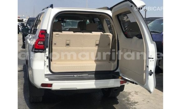 Acheter Import Voiture Toyota Prado Blanc à Import - Dubai, Adrar Acheter Import Voiture Toyota Prado Blanc à Import - Dubai, Adrar
