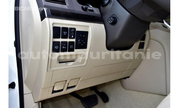 Buy Import Toyota Land Cruiser White Car in Import - Dubai in Adrar Buy Import Toyota Land Cruiser White Car in Import - Dubai in Adrar