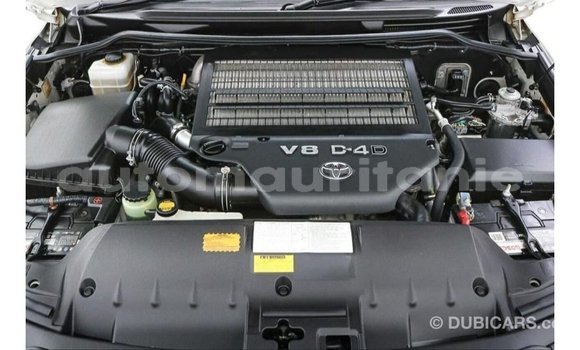 Acheter Import Voiture Toyota Land Cruiser Blanc à Import - Dubai, Adrar Acheter Import Voiture Toyota Land Cruiser Blanc à Import - Dubai, Adrar