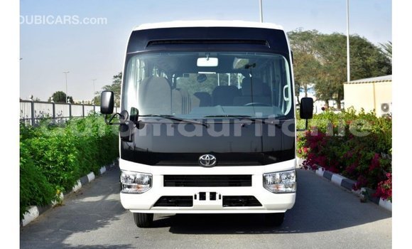 Buy Import Toyota Coaster White Car in Import - Dubai in Adrar Buy Import Toyota Coaster White Car in Import - Dubai in Adrar