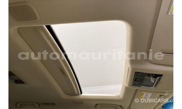 Acheter Import Voiture Toyota Land Cruiser Blanc à Import - Dubai, Adrar Acheter Import Voiture Toyota Land Cruiser Blanc à Import - Dubai, Adrar