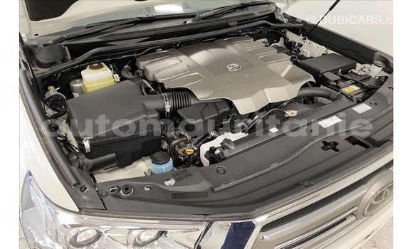 Acheter Import Voiture Toyota Land Cruiser Blanc à Import - Dubai, Adrar Acheter Import Voiture Toyota Land Cruiser Blanc à Import - Dubai, Adrar