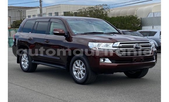 Acheter Import Voiture Toyota Land Cruiser Rouge à Import - Dubai, Adrar Acheter Import Voiture Toyota Land Cruiser Rouge à Import - Dubai, Adrar