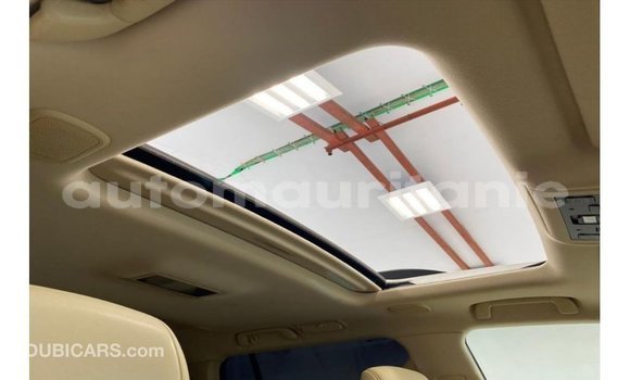 Acheter Import Voiture Toyota Land Cruiser Blanc à Import - Dubai, Adrar Acheter Import Voiture Toyota Land Cruiser Blanc à Import - Dubai, Adrar