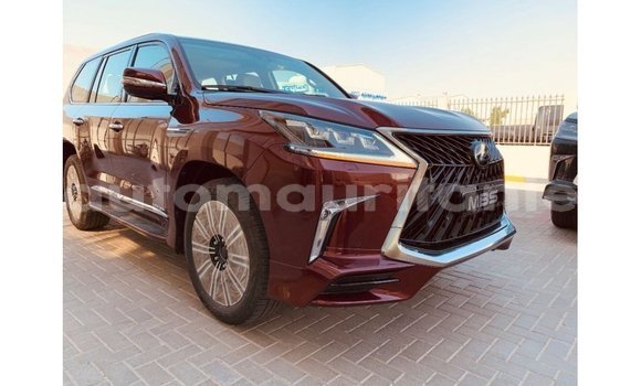 Buy Import Lexus LX Red Car in Import - Dubai in Adrar Buy Import Lexus LX Red Car in Import - Dubai in Adrar