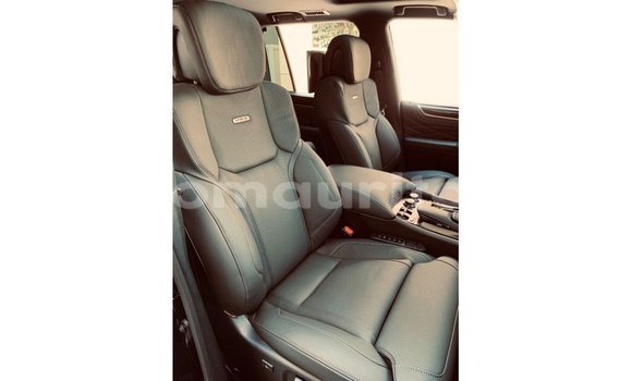 Buy Import Lexus LX Black Car in Import - Dubai in Adrar Buy Import Lexus LX Black Car in Import - Dubai in Adrar
