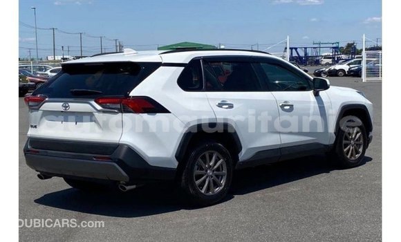 Acheter Import Utilitaire Toyota HiAce Blanc à Import - Dubai, Adrar Acheter Import Utilitaire Toyota HiAce Blanc à Import - Dubai, Adrar