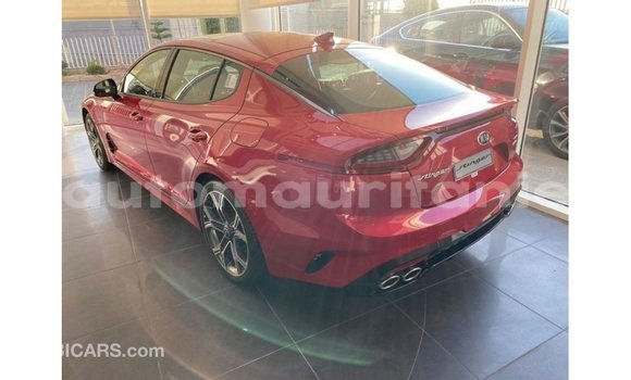 Acheter Import Voiture Kia Stinger Rouge à Import - Dubai, Adrar Acheter Import Voiture Kia Stinger Rouge à Import - Dubai, Adrar