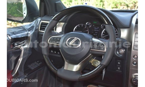 Buy Import Lexus GX White Car in Import - Dubai in Adrar Buy Import Lexus GX White Car in Import - Dubai in Adrar