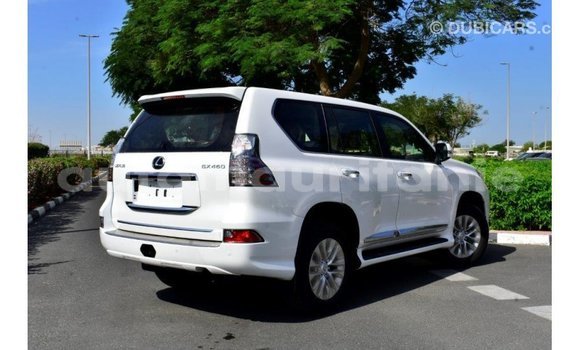 Buy Import Lexus GX White Car in Import - Dubai in Adrar Buy Import Lexus GX White Car in Import - Dubai in Adrar