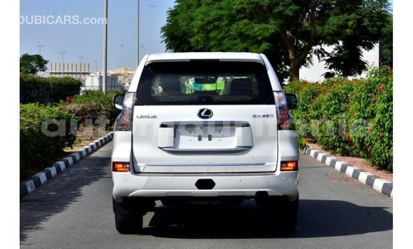 Buy Import Lexus GX White Car in Import - Dubai in Adrar Buy Import Lexus GX White Car in Import - Dubai in Adrar