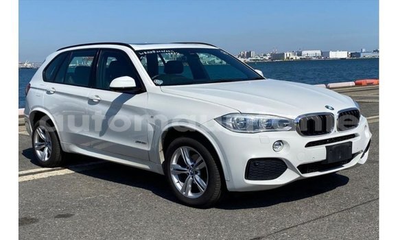 Acheter Import Voiture BMW X5 Blanc à Import - Dubai, Adrar