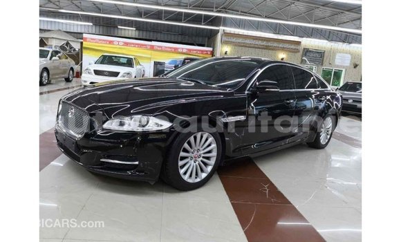 Buy Import Jaguar XJ Black Car in Import - Dubai in Adrar Buy Import Jaguar XJ Black Car in Import - Dubai in Adrar