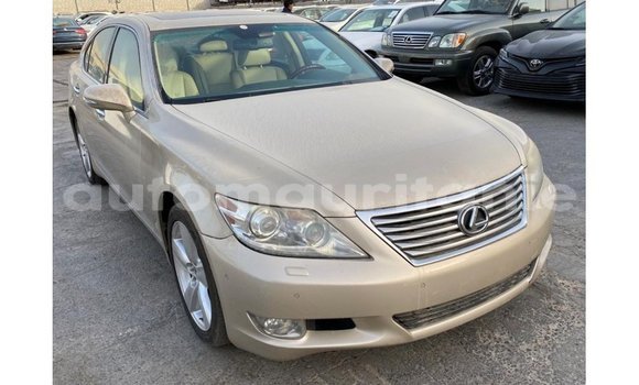 Acheter Import Voiture Lexus LS Autre à Import - Dubai, Adrar Acheter Import Voiture Lexus LS Autre à Import - Dubai, Adrar