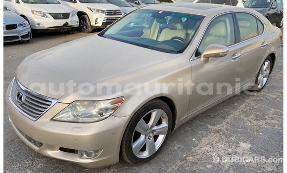 Acheter Import Voiture Lexus LS Autre à Import - Dubai, Adrar Acheter Import Voiture Lexus LS Autre à Import - Dubai, Adrar